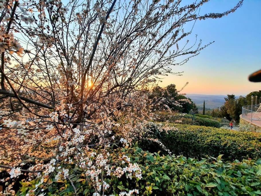 Villa Tutti I Colori Del Chianti Linari 外观 照片