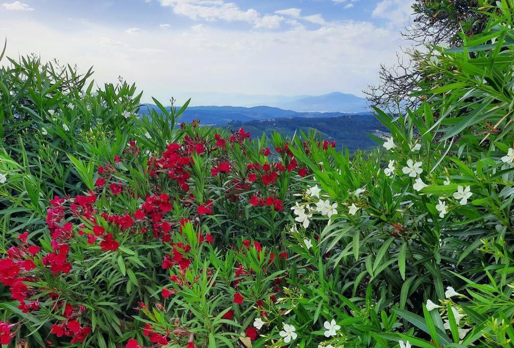 Villa Tutti I Colori Del Chianti Linari 外观 照片